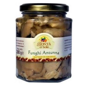 Bonta del Sole Funghi Autunna 280 g